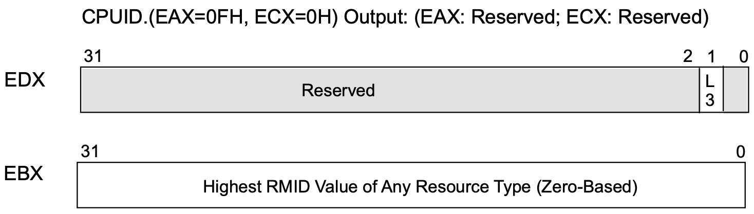 CPUID_EAX_F_ECX_0